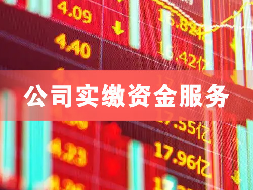 番禺公司实缴资金服务