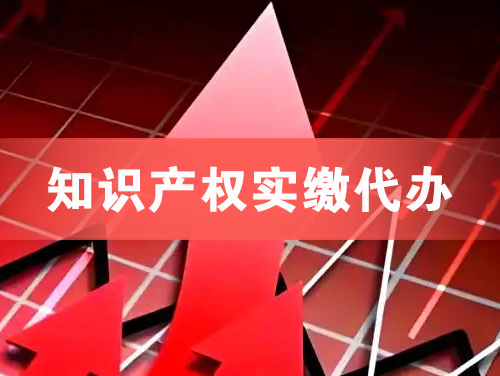 番禺知识产权实缴资本代办